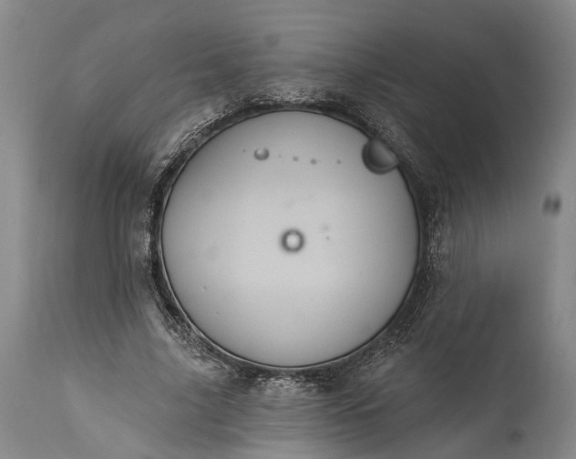 X0000115320635200911161746