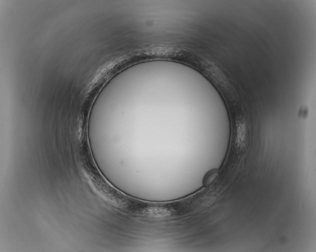 X0000115320636200911161746