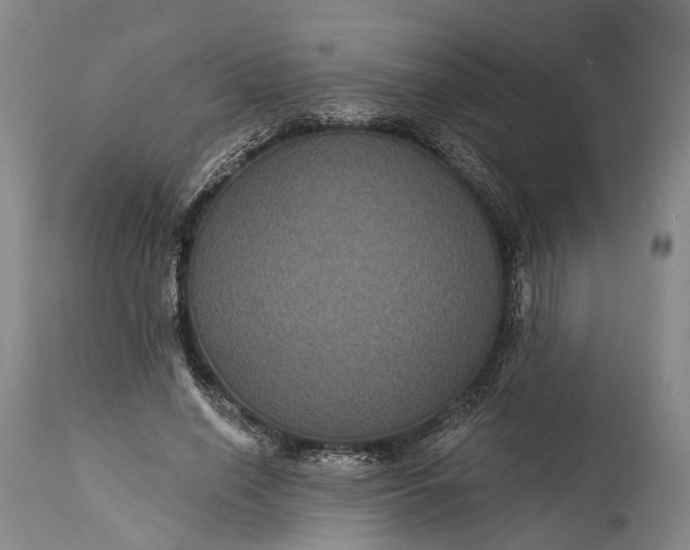 X0000115320638200911161746