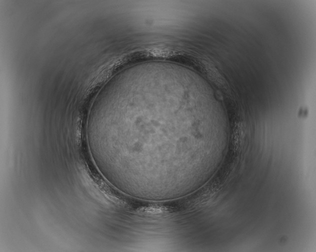 X0000115320639200911161746