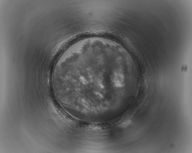 X0000115320640200911161746