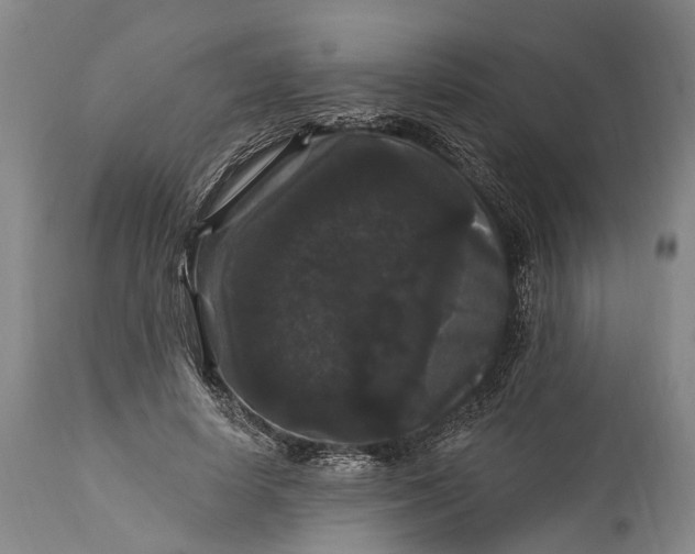 X0000115320642200911161746