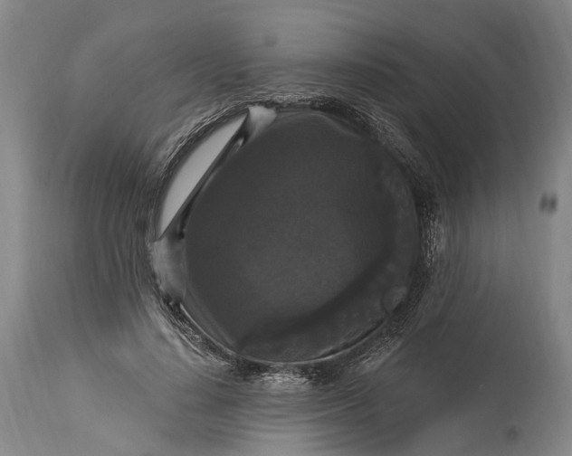 X0000115320644200911161746