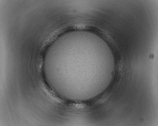 X0000115320645200911161746