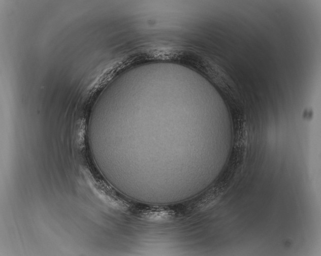 X0000115320646200911161746