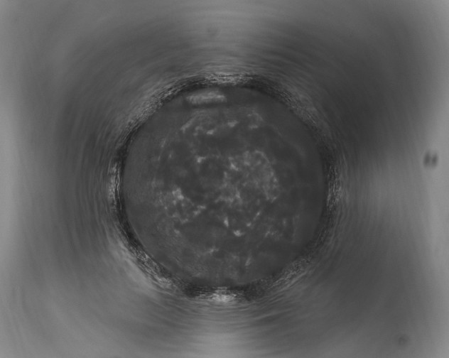 X0000115320647200911161746