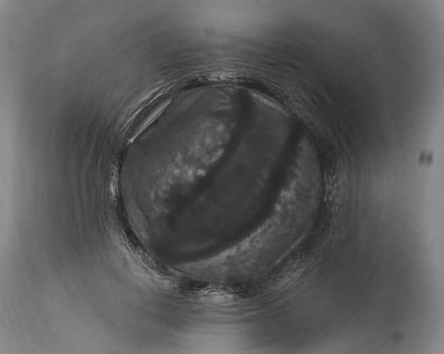 X0000115320648200911161746