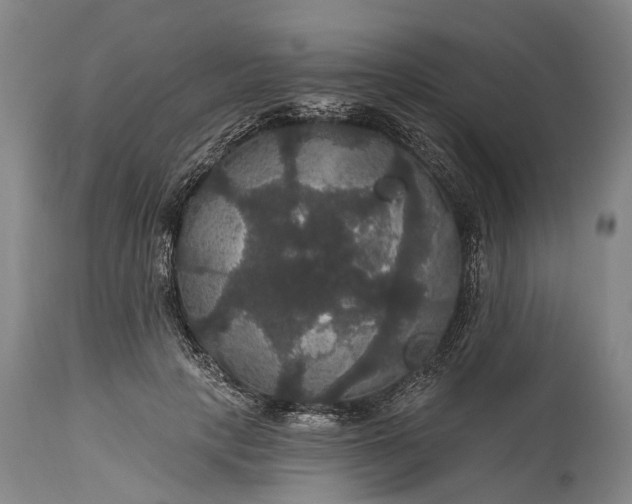 X0000115320649200911161746