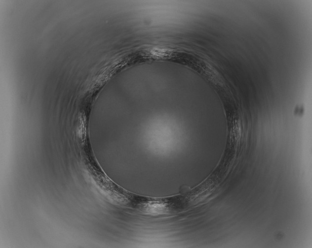 X0000115320651200911161746