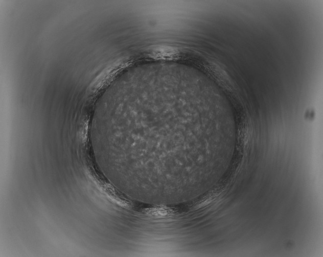 X0000115320652200911161746