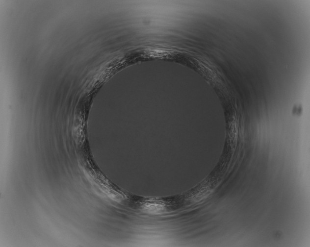 X0000115320653200911161746