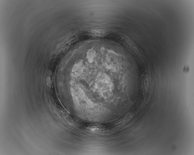 X0000115320655200911161746