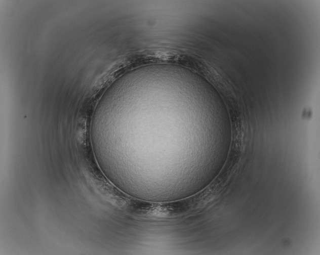 X0000115320656200911161746