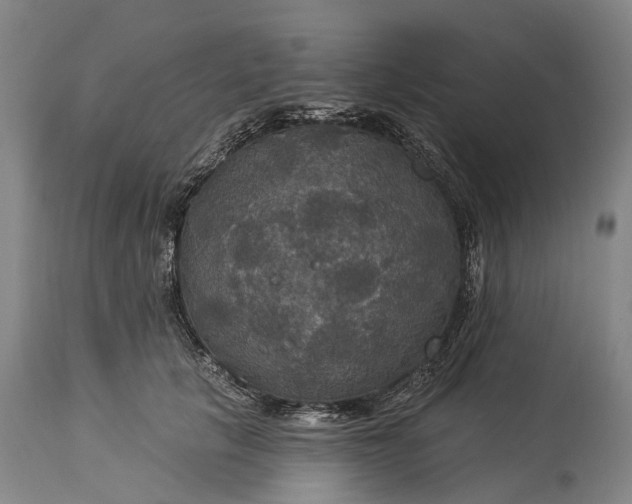 X0000115320657200911161746