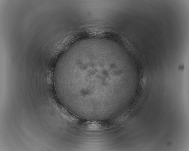 X0000115320658200911161746