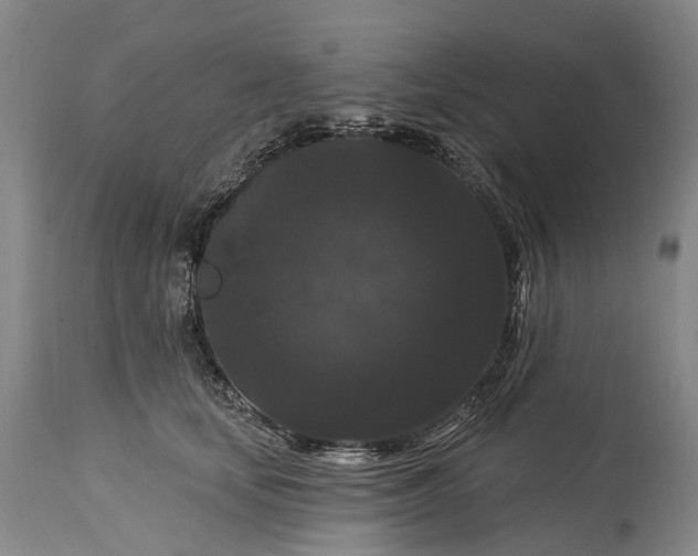 X0000115320659200911161746