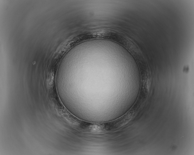 X0000115320660200911161746