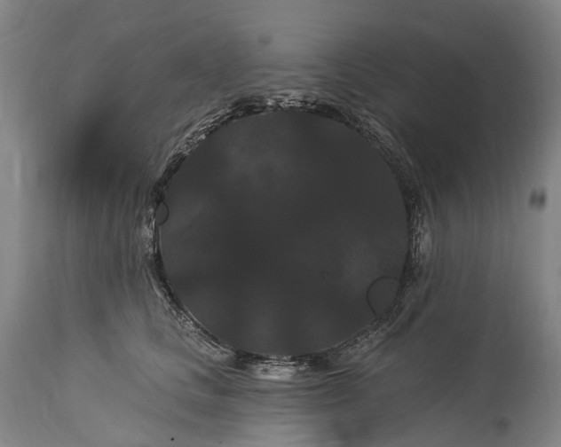 X0000115320661200911161746