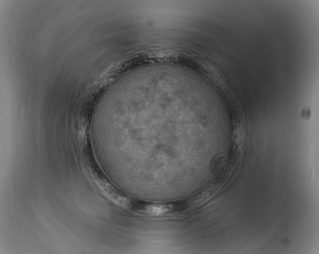 X0000115320662200911161746