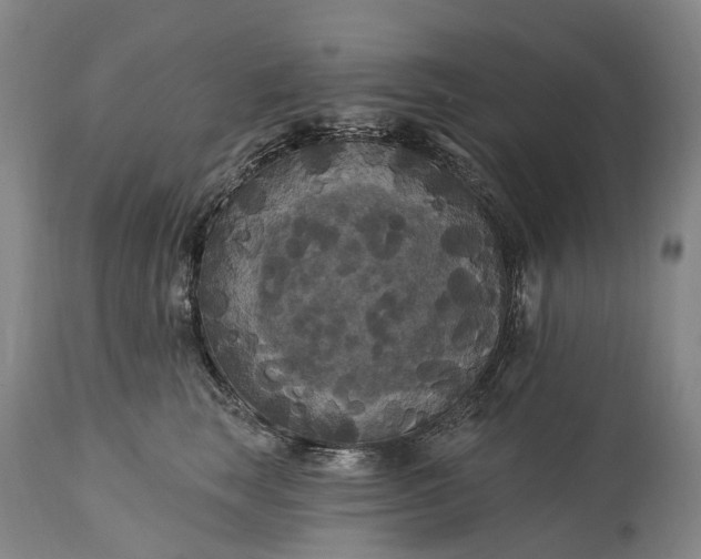 X0000115320663200911161746