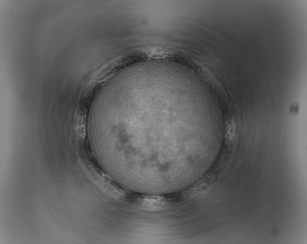 X0000115320666200911161746