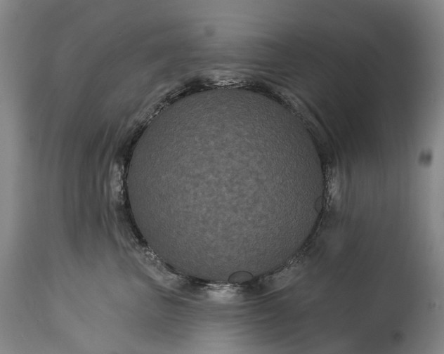 X0000115320667200911161746