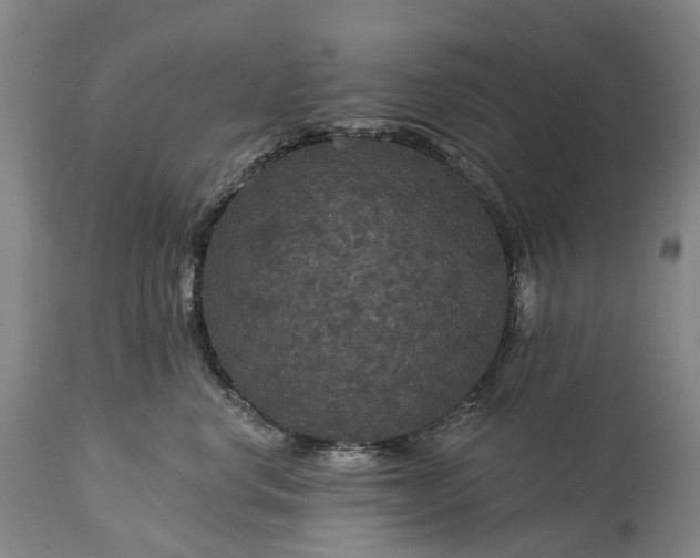 X0000115320668200911161746