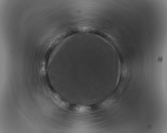 X0000115320670200911161746