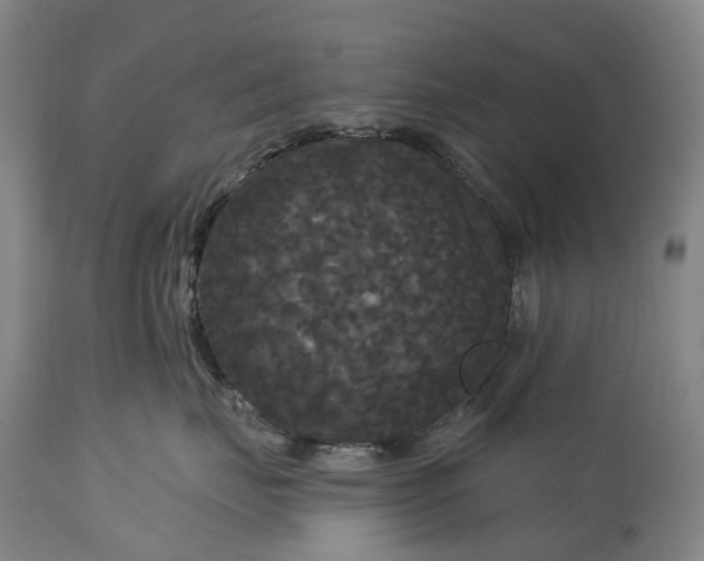 X0000115320671200911161746