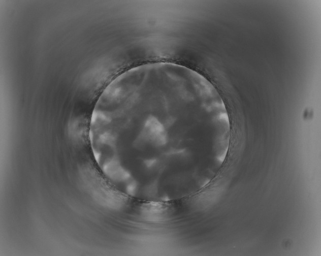 X0000115320672200911161746