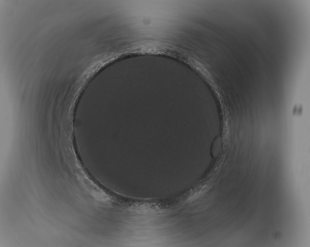 X0000115320673200911161746