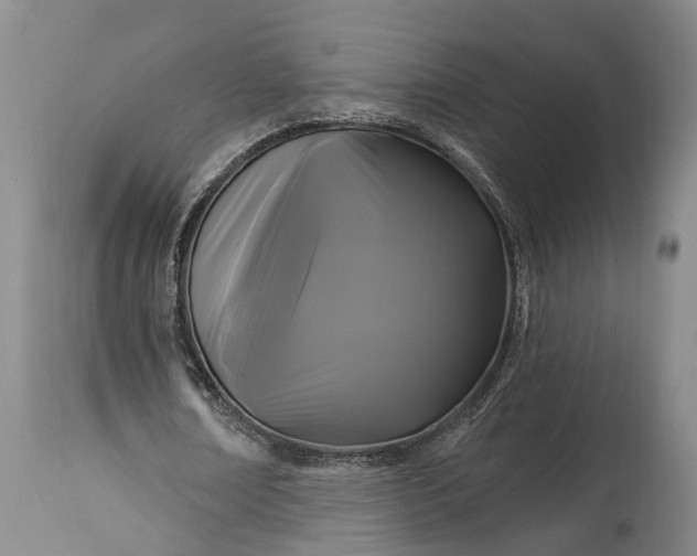 X0000115320674200911161746