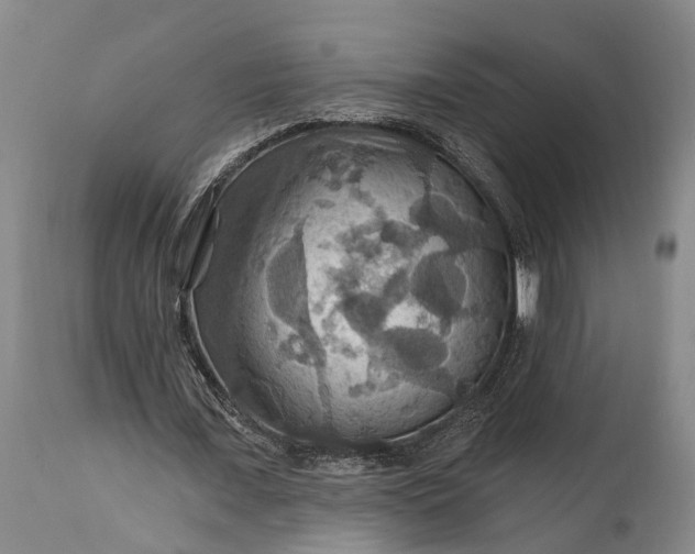 X0000115320675200911161746