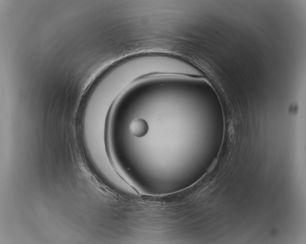 X0000115320676200911161746