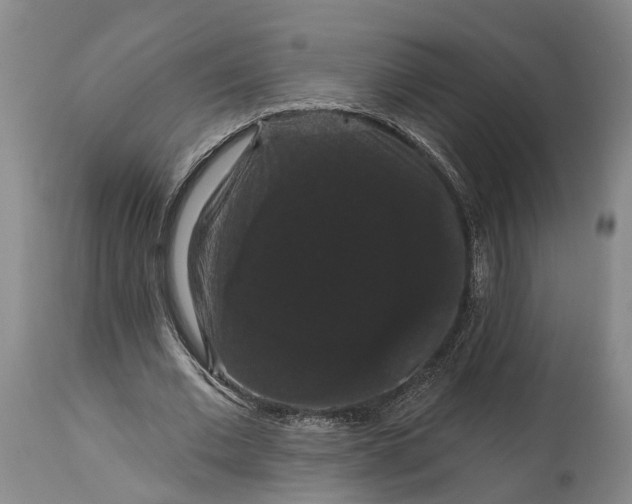 X0000115320677200911161746