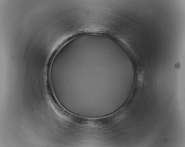 X0000115320678200911161745