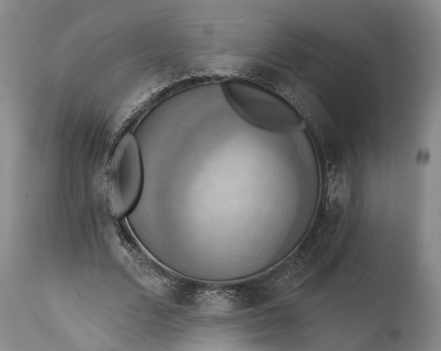 X0000115320680200911161745