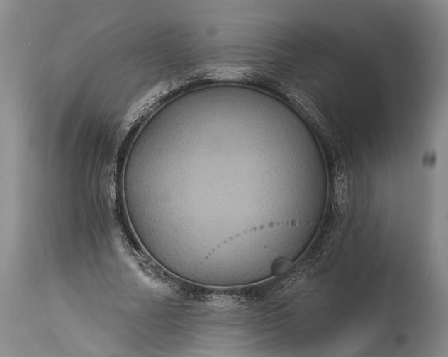 X0000115320682200911161745