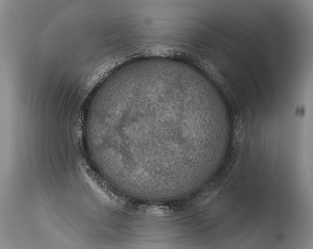 X0000115320683200911161745