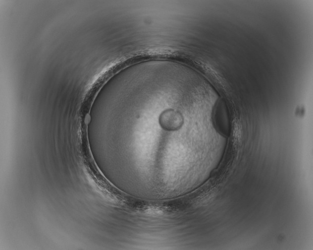 X0000115320684200911161745