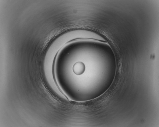 X0000115320685200911161745