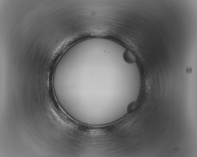 X0000115320686200911161745