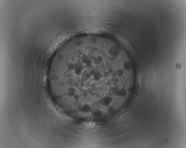 X0000115320687200911161745