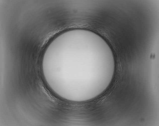 X0000115320688200911161745