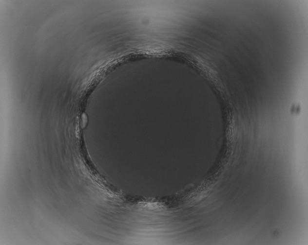 X0000115320689200911161745