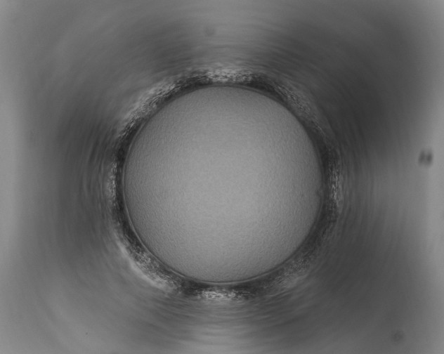 X0000115320690200911161745