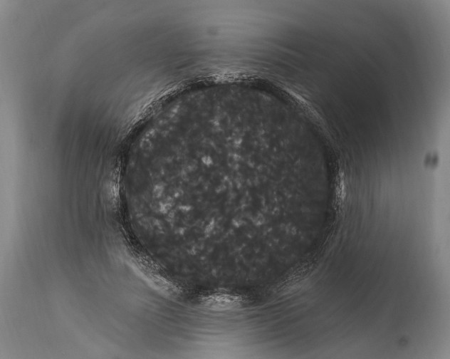 X0000115320691200911161745