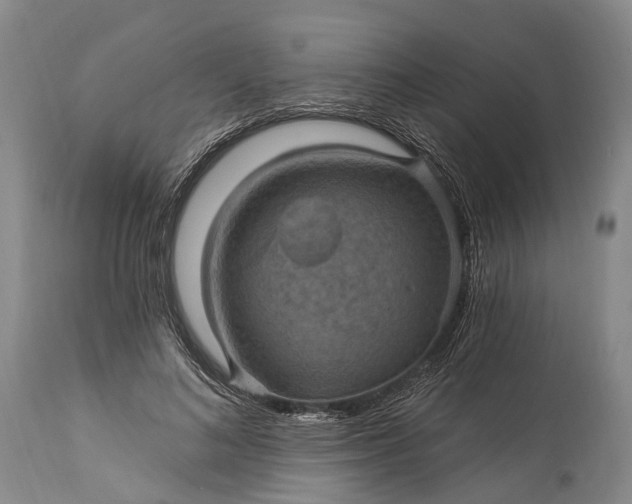 X0000115320692200911161745