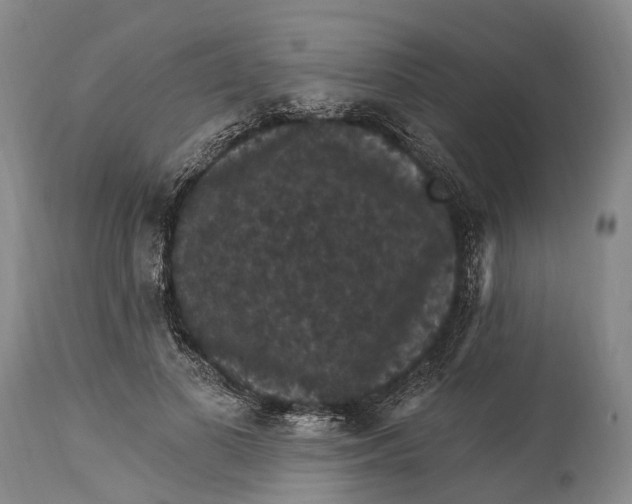 X0000115320693200911161745