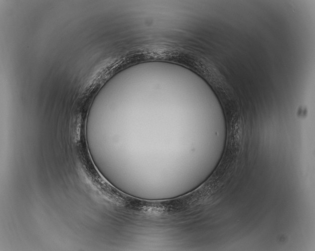 X0000115320694200911161745